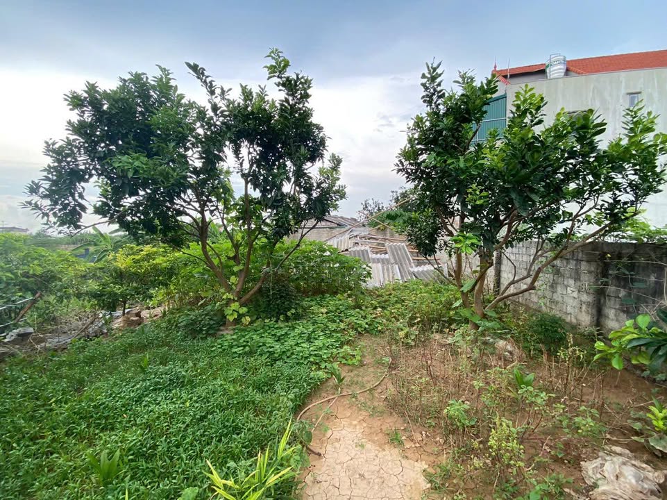 Đất nền Hồng Thái Phú Xuyên 143m² giá chỉ 1.43 tỷ - Sổ đỏ chính chủ!