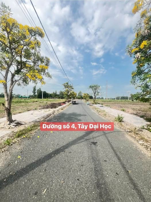 Đất nền đường số 4, Mỹ Hòa, Long Xuyên 63m² giá 1 tỷ - Cơ hội đầu tư hấp dẫn!