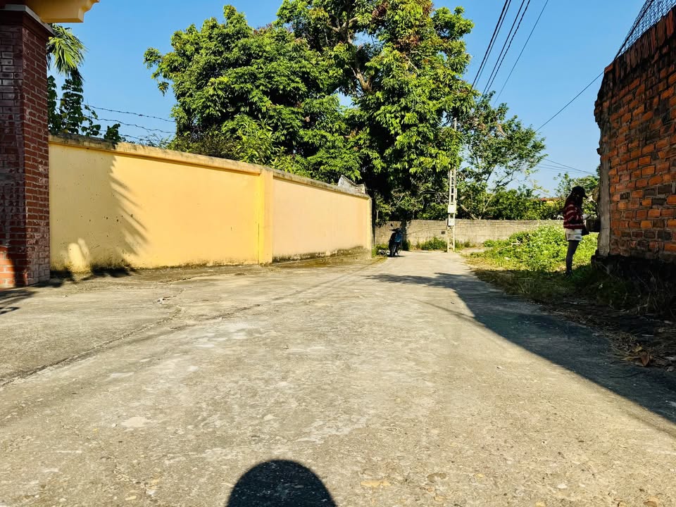 Đất 2 mặt tiền tại Danh Thắng, Hiệp Hòa, 100m² giá 700 triệu - Cơ hội đầu tư cực tốt!