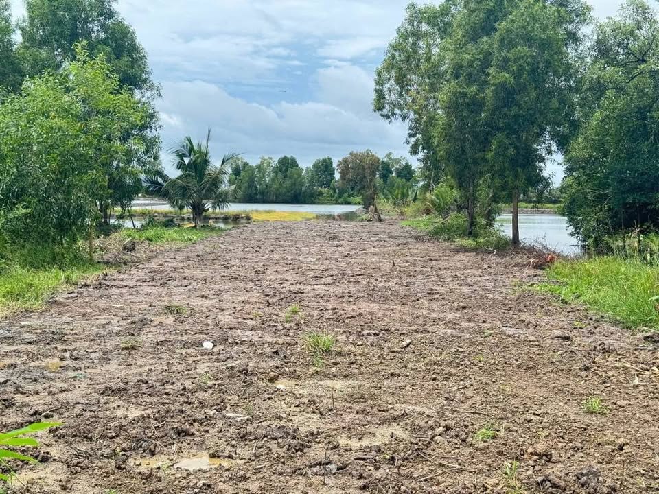 Đất thổ cư khu phố Ông Muộn, phường Lý Văn Lâm, Cà Mau 100m² - Sổ đỏ chính chủ, giá chỉ 520 triệu!