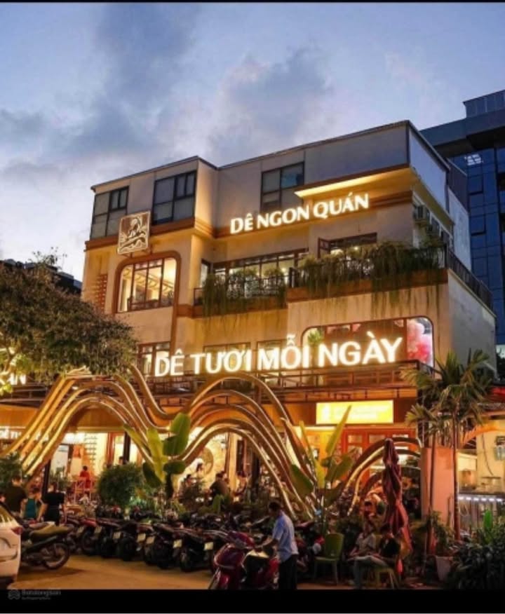 Cho thuê mặt phố Nguyễn Khang 450m² - Mặt tiền 15m, kinh doanh mọi mô hình!