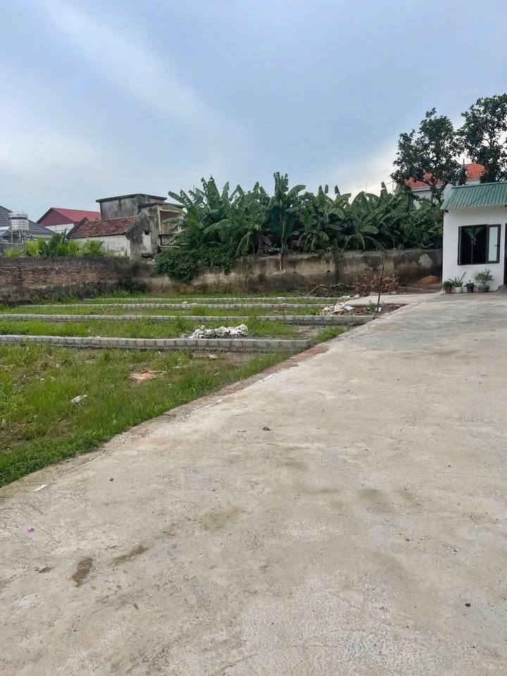 Đất thổ cư 71,7m² tại Thôn Bá Khê, Văn Giang - Giá chỉ 2,15 tỷ, đầu tư sinh lời!