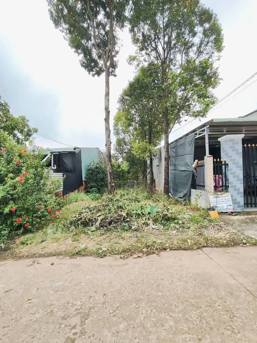 Đất nền Tân Thiện Đồng Xoài 266m² giá 700 triệu - Đầu tư lý tưởng!