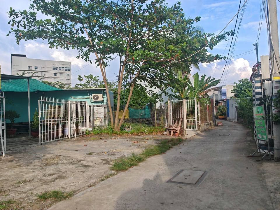 Mặt bằng cho thuê tại Mỹ Bình, Long Xuyên 600m² chỉ 6 triệu/tháng - Không thể bỏ lỡ!