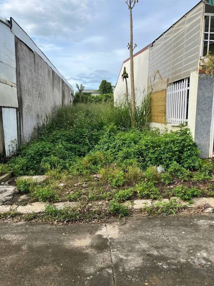 Đất nền Phú Hội, Đức Trọng, 120m² giá 1.7 tỷ - Cơ hội đầu tư tuyệt vời!