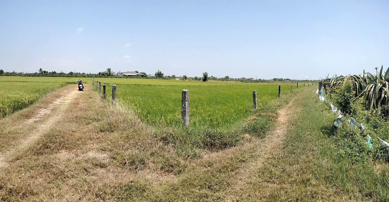 Đất nông nghiệp 865m² Hàm Liêm giá 570 triệu - Cơ hội đầu tư tuyệt vời!