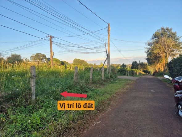 Đất nền Trà Đa Pleiku 512m² giá 1.3 tỷ - Đầu tư sinh lời tuyệt vời!