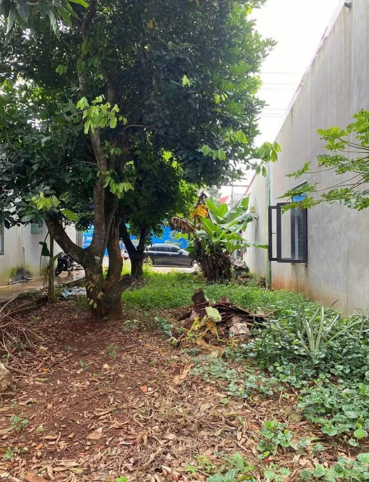 Đất Mặt Tiền Kinh Doanh Đường Trần Quý Cáp 150m² Giá 5.05 Tỷ - Cơ Hội Đầu Tư Hiếm Có!