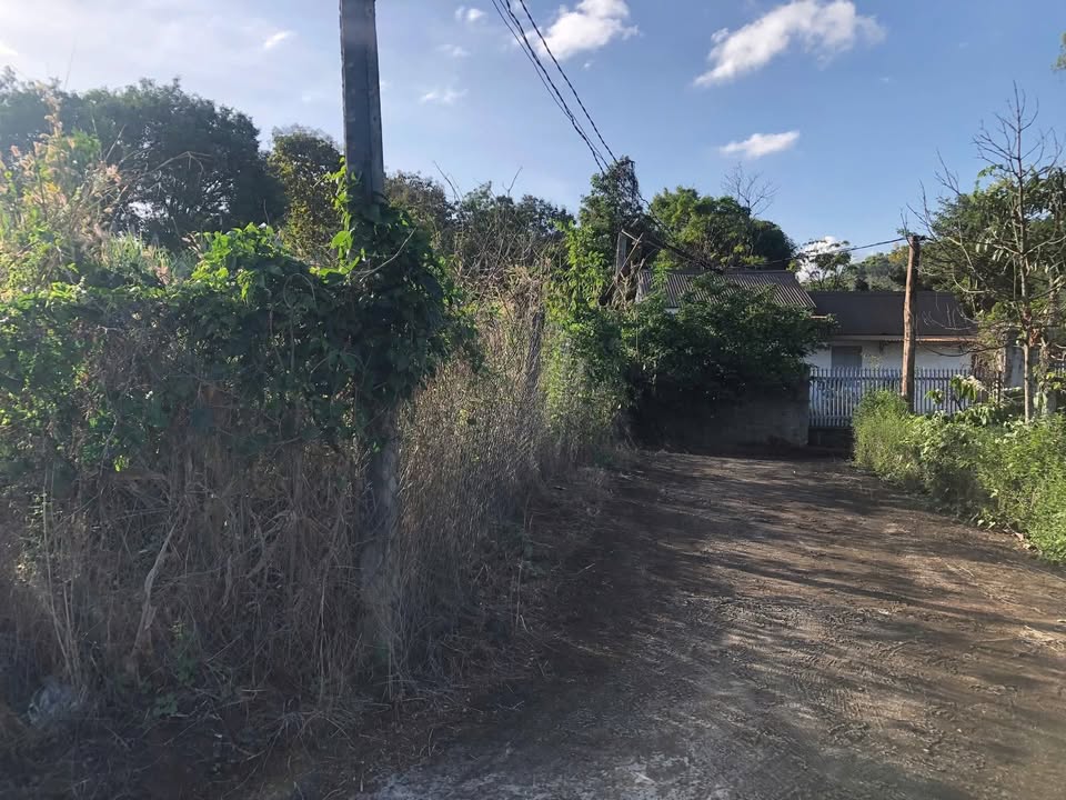 Đất nền đẹp tại Huỳnh Tấn Phát, Khánh Xuân 300m² giá 1.1 tỷ - Cơ hội đầu tư sinh lời!