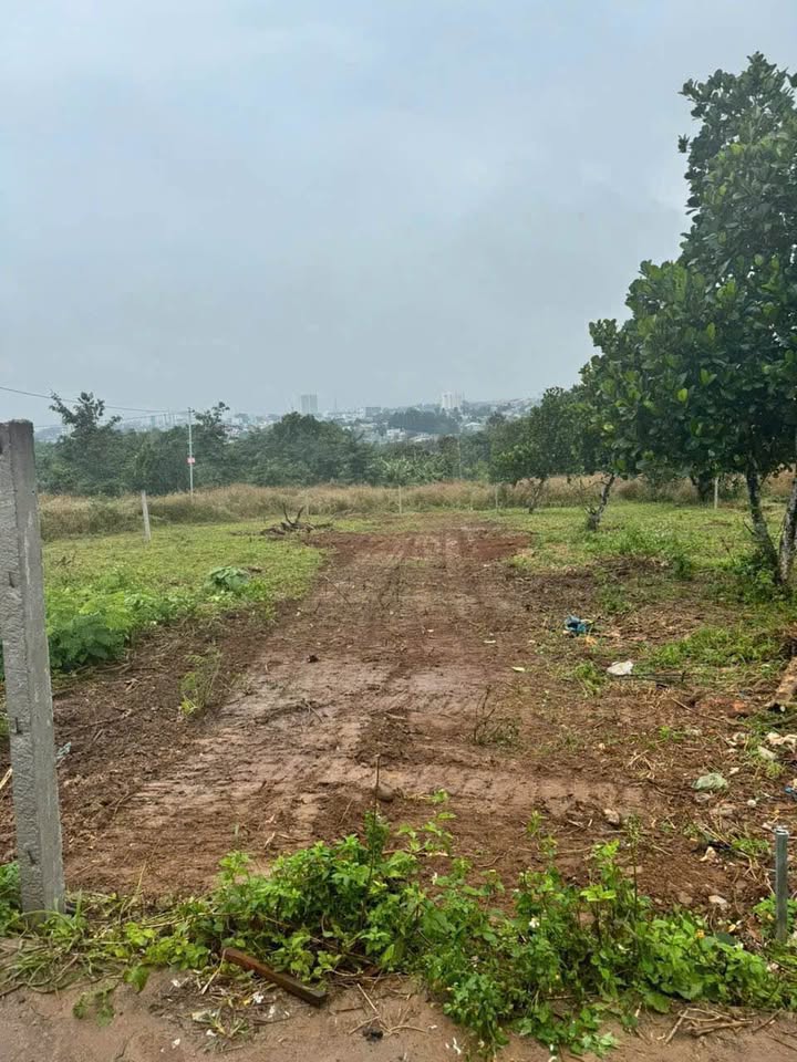 Đất nền hẻm 72 Trần Quý Cáp, Tân Lập 140m² giá 1.75 tỷ - Cơ hội đầu tư hấp dẫn!