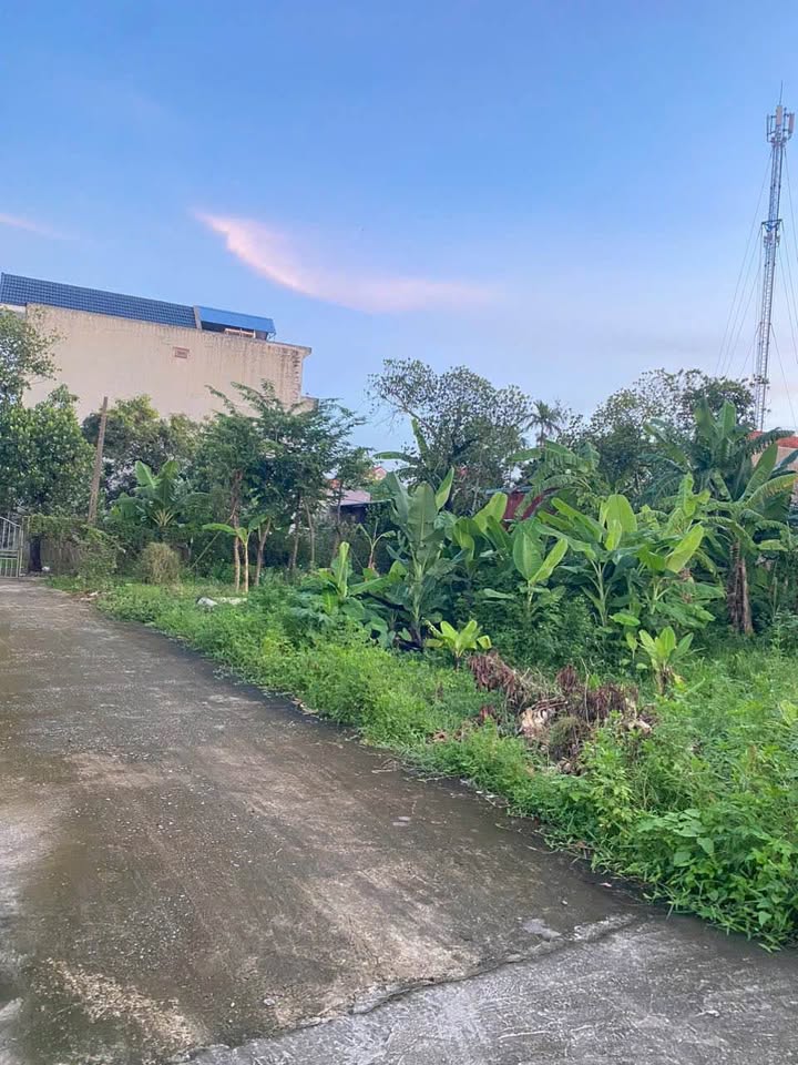 Đất nền 103m² tại Hoa Lư, Ninh Bình giá 4 tỷ - Cơ hội đầu tư hấp dẫn!