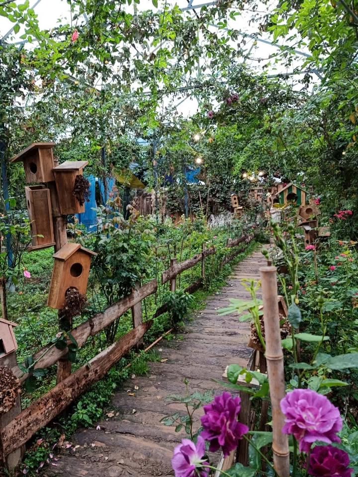 Đất nền Cam Phúc Bắc - Cam Ranh 196m² giá 1.5 tỷ - Cơ hội đầu tư tuyệt vời!