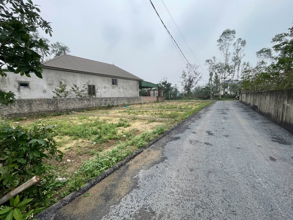 Đất nền xóm 4 Nghi Phong 300m² giá 5.9 tỷ - Vị trí đắc địa, cơ hội đầu tư tuyệt vời!