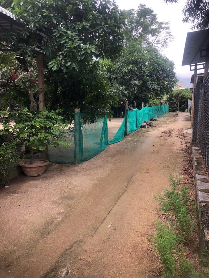 Đất Vạn Phú 209m² giá 450 triệu - Không ngập nước, đường ô tô tới nơi!