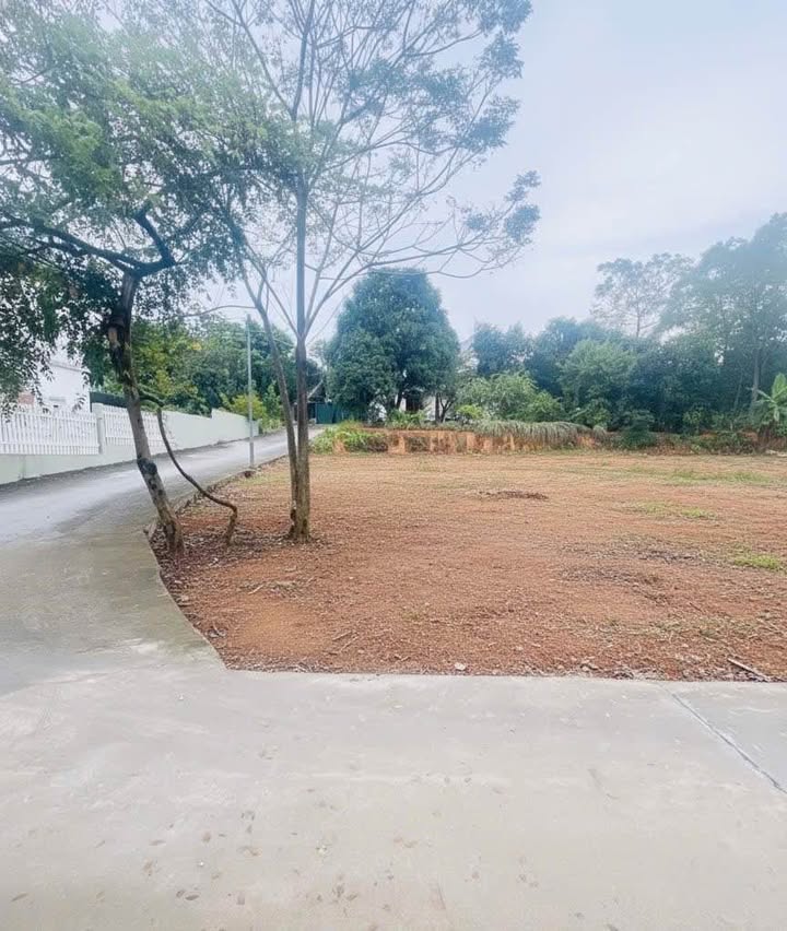 Đất mặt tiền 2MT view hồ khu 6 Thanh Đình 114m² giá 2 tỷ - Tiềm năng đầu tư cao!