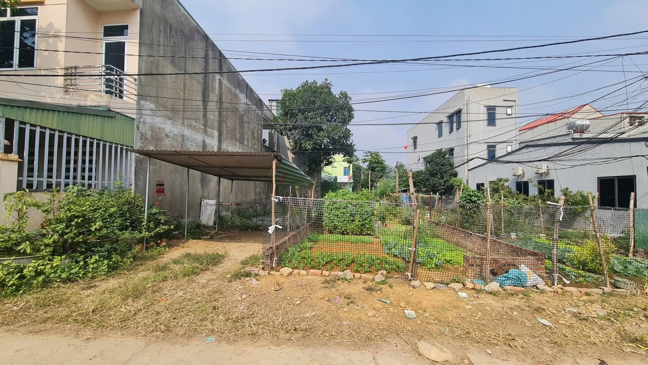 Đất nền Phường Nông Trang, Việt Trì 80m² giá chỉ 2.8 tỷ - Cơ hội đầu tư hấp dẫn!