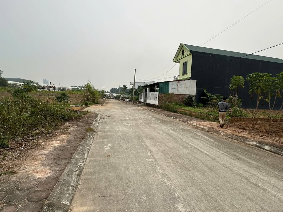 Đất thổ cư 300m² phường Thanh Đình, Việt Trì chỉ 2.7 tỷ - Đầu tư sinh lời ngay!