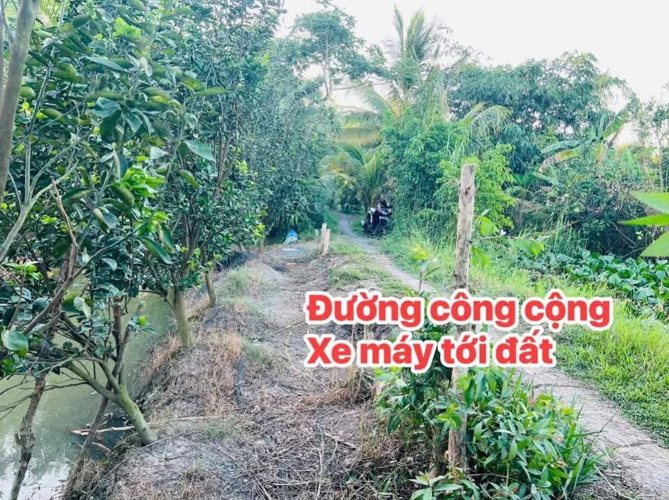 Đất nền Đông Thành Bình Minh 900m² giá 350 triệu - Cơ hội đầu tư sinh lời!