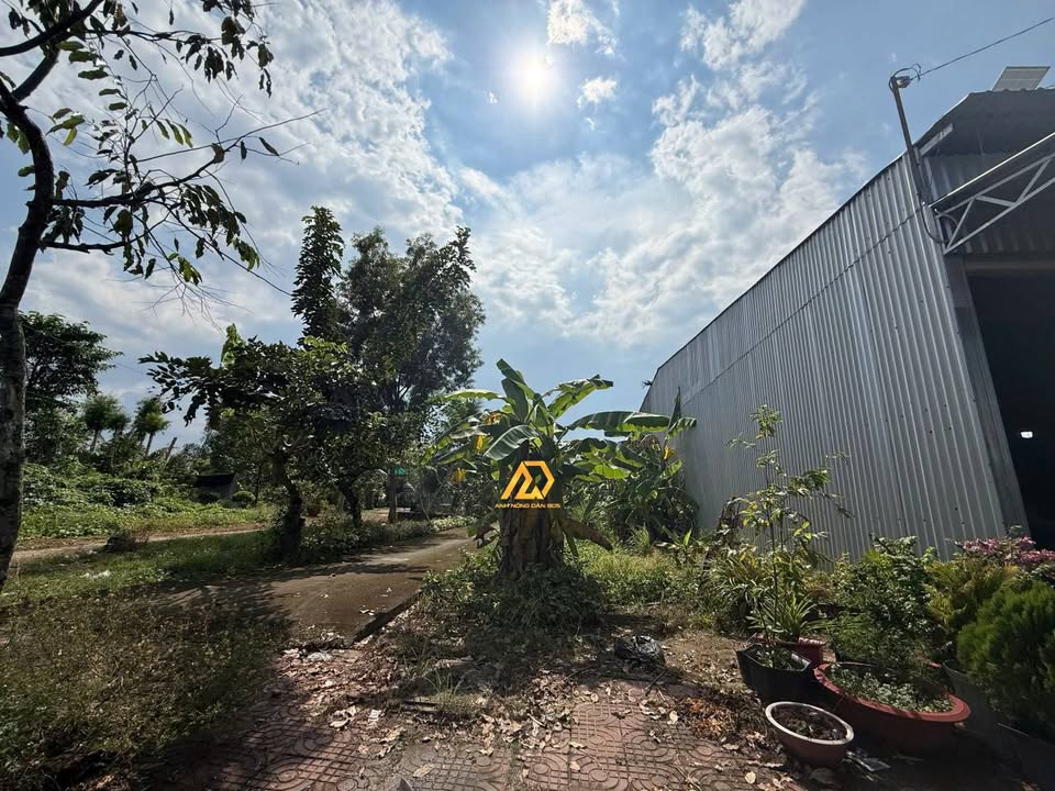 Đất nền 3 mặt tiền Phường Long Châu, Vĩnh Long 120m² giá 1.45 tỷ - Đầu tư sinh lời ngay!