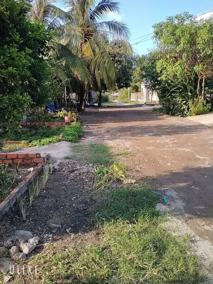 Đất nền Trường Đông 328m² giá chỉ 650 triệu - Tặng nhà khi mua!