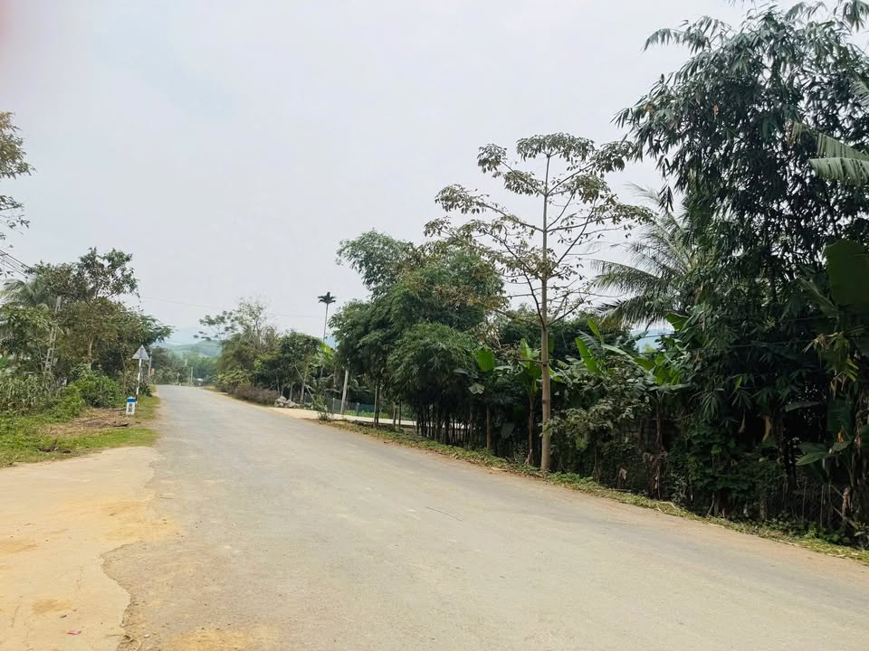 Đất Nghĩa Lạc Nghệ An 210m² - Sổ đỏ chính chủ, giá thỏa thuận!