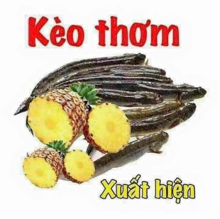 Đất nền TDC Vạn Hạnh Phú Mỹ 125m² giá chỉ 2.6 tỷ - Đầu tư sinh lời ngay!