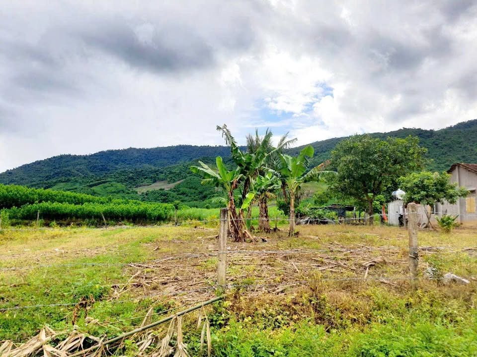 Bán đất Khánh Hiệp, Khánh Vĩnh 1830m² giá chỉ 890 triệu - Cơ hội đầu tư tuyệt vời!