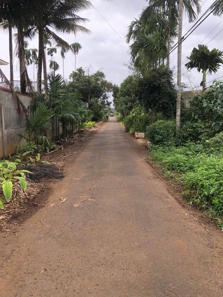 Đất nền 2 mặt tiền Hoà Thuận Tân An 126m² giá chỉ 1.25 tỷ - Đầu tư sinh lời ngay!