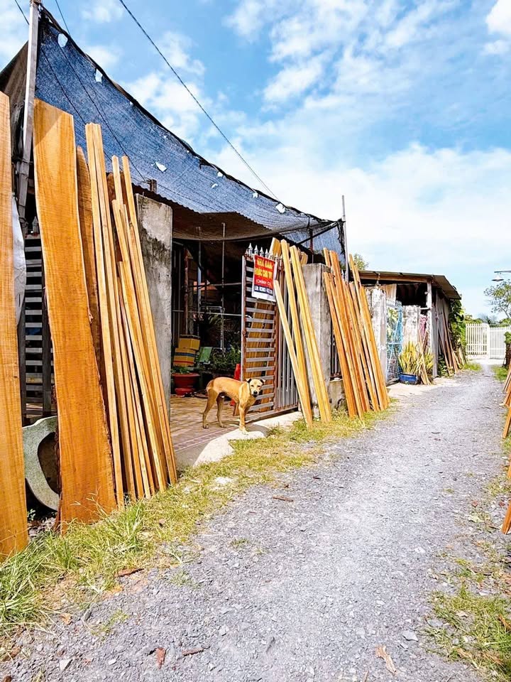 Đất thổ cư Thanh Phước, Châu Thành 100m² chỉ 300 triệu - Cơ hội đầu tư tốt!