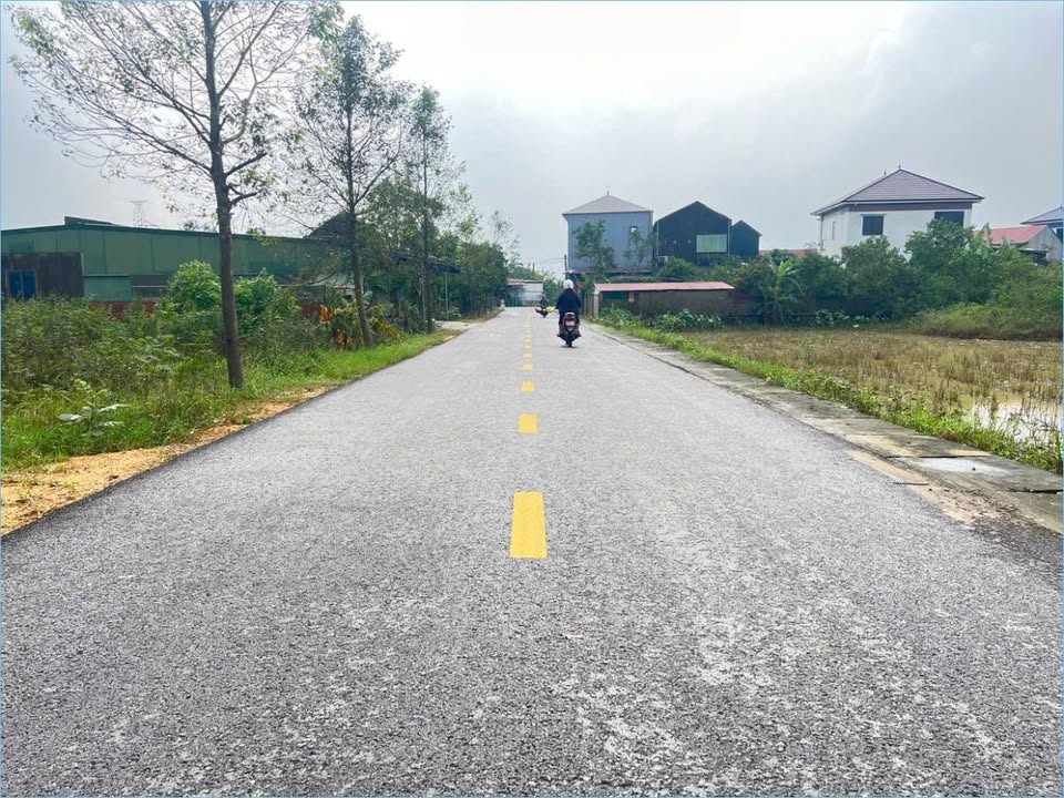 Đất thổ cư thôn Đông Hạ, Cẩm Vịnh, 180m² giá 2 tỷ - Đầu tư thông minh!