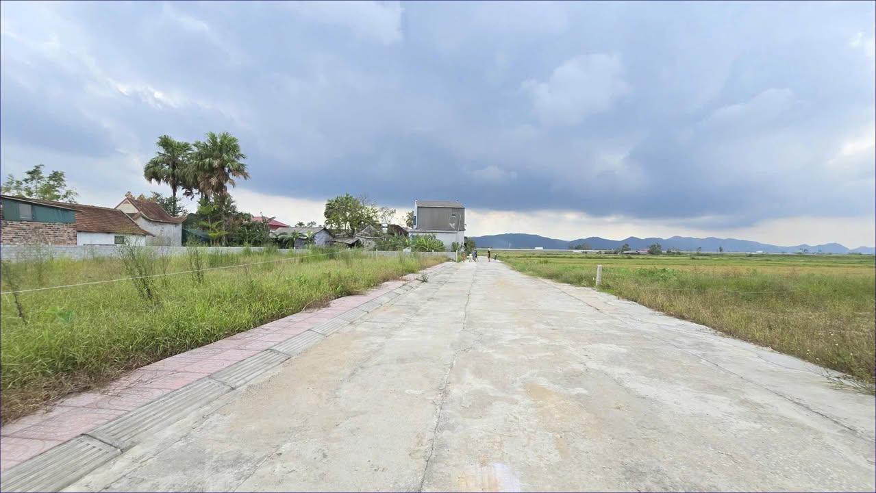 Đất nền TDP Tiến Bộ, xã Tân Lâm Hương 164m² giá thỏa thuận - Sổ đỏ chính chủ!