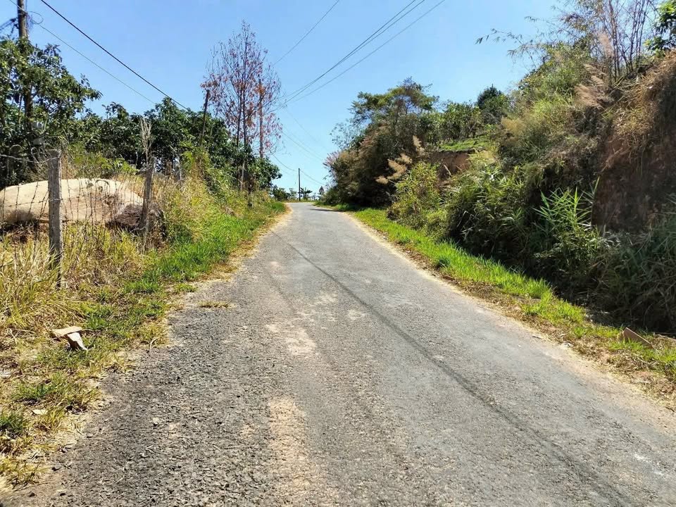 Đất sào Lộc Thành Bảo Lâm 4.700m² giá 1.6 tỷ - Cơ hội đầu tư hấp dẫn!