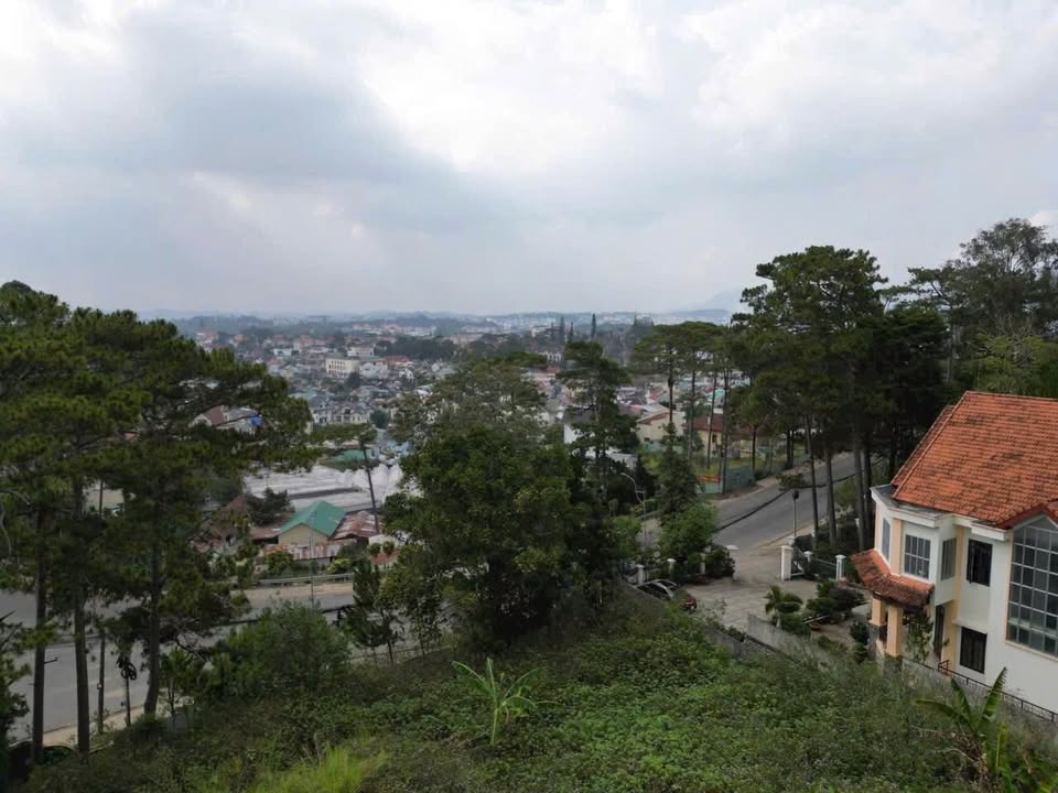 Đất vàng Đà Lạt 4122m² - Xây dựng khách sạn view rừng thông, giá thương lượng!