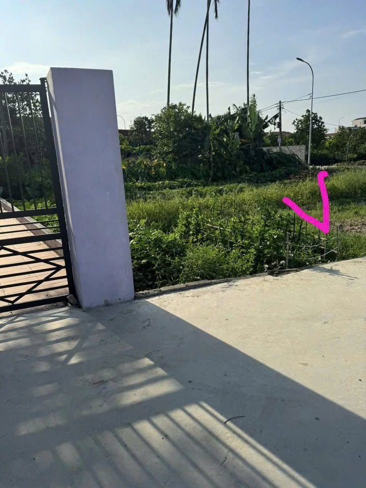 Đất nền Quốc Tuấn An Lão 80m² giá chỉ 4xx triệu - Sổ đỏ chính chủ, sang tên ngay!