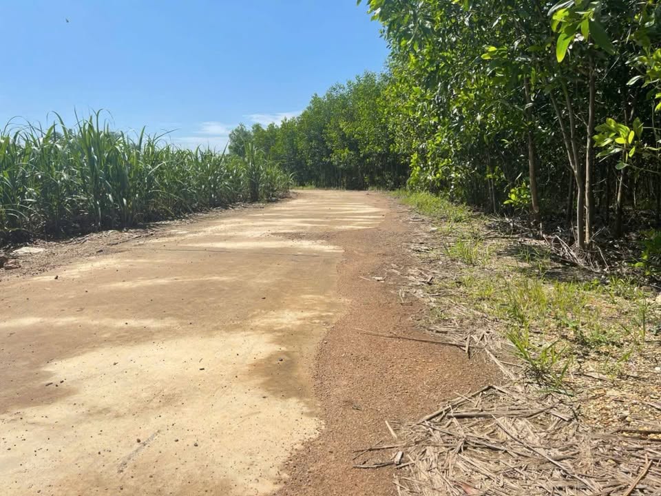 Đất nông nghiệp Diên Đồng 7633m² giá 200 triệu - Cơ hội đầu tư tuyệt vời!