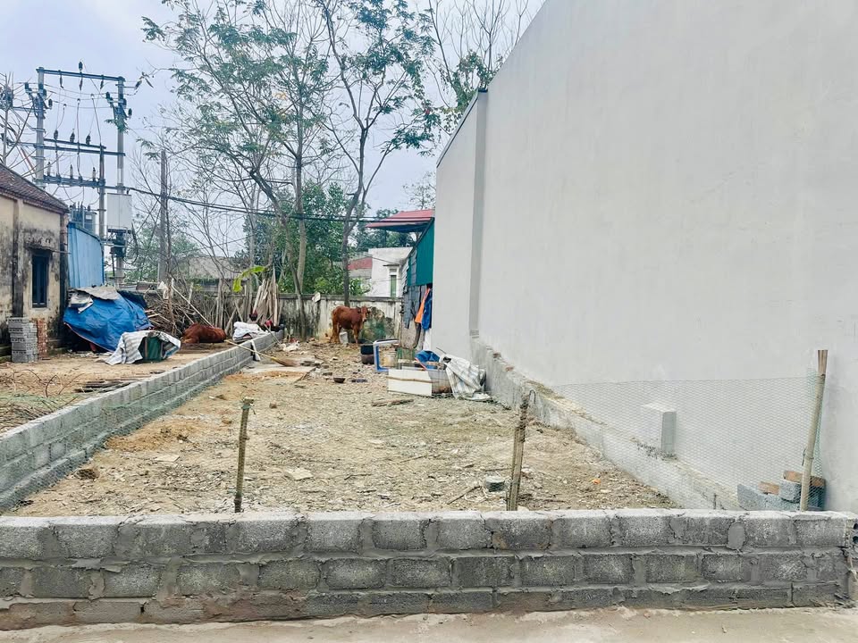 Đất thổ cư 90m² tại Đông Yên, Quốc Oai - Sổ hồng chính chủ, đầu tư sinh lời!