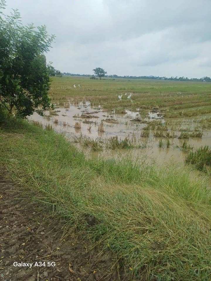 Đất nền Định Mỹ 21.000m² giá 160 triệu - Cơ hội đầu tư sinh lời!