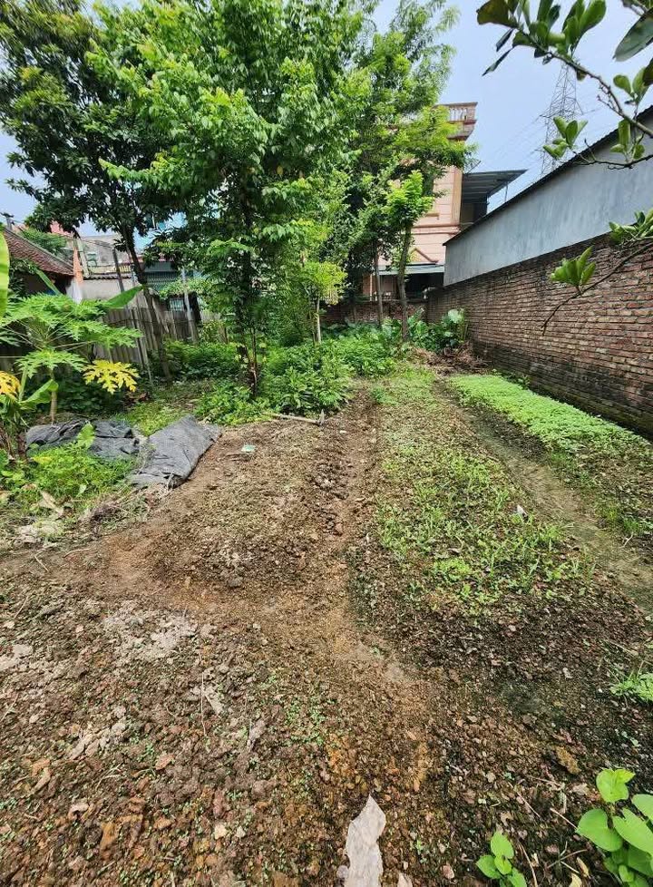 Lô đất Đình Vỹ, Yên Thường, Gia Lâm 138m² giá chỉ 40 triệu/m² - Đầu tư sinh lời bền vững!