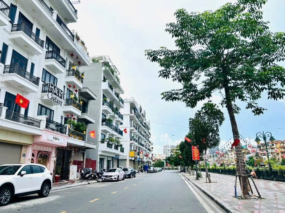 Toà Nhà FrontHouse 7 tầng phố đi bộ Thế Lữ, Hồng Bàng 395m² - Sổ đỏ chính chủ, giá 98 tỷ!