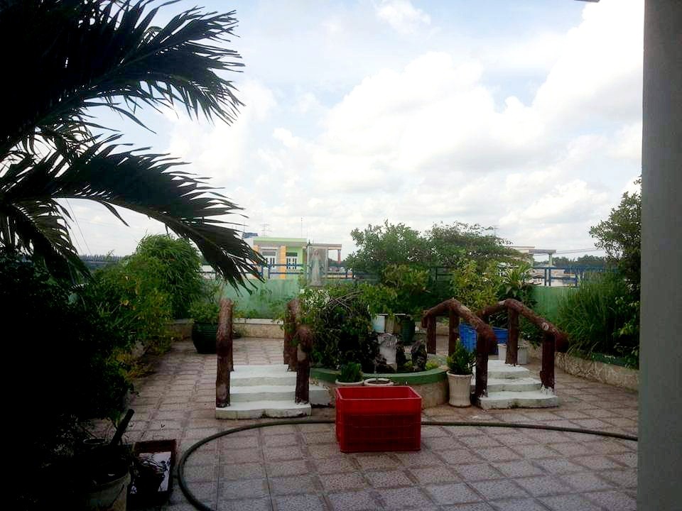 Nhà mặt tiền 65 Ấp 1 xã Thạnh Đức, Bến Lức 360m² giá 10 tỷ - Chính chủ bán gấp!