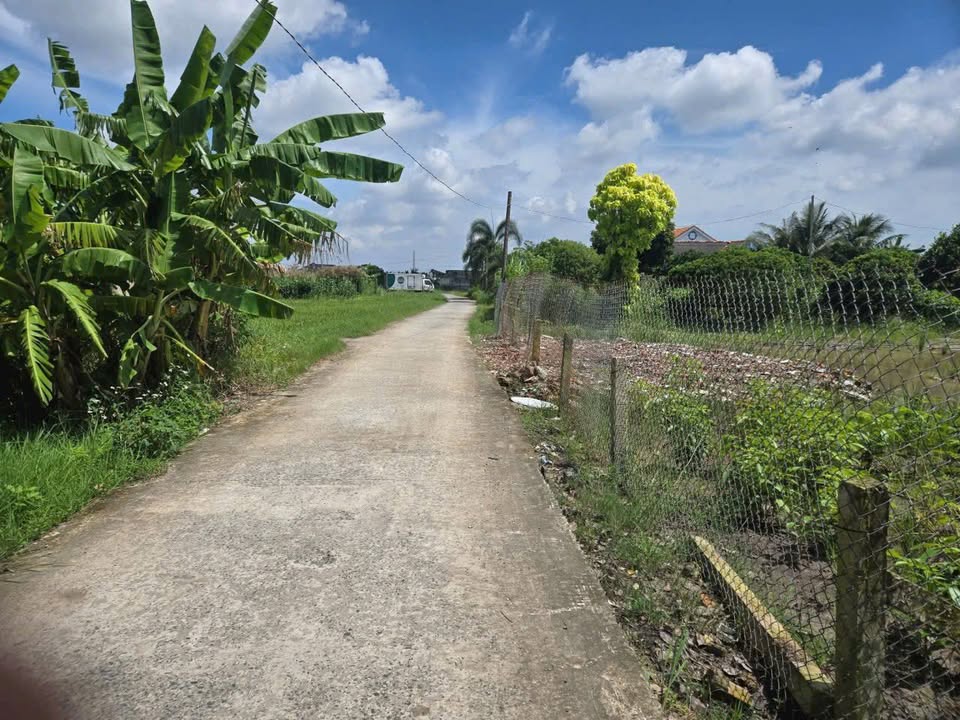 Đất nền Nhựt Chánh, Bến Lức 125m² giá 750 triệu - Cơ hội đầu tư hấp dẫn!