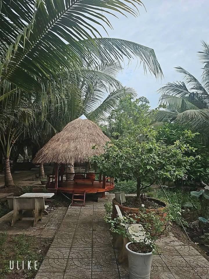 Đất nghỉ dưỡng Giai Xuân - Phong Điền 1.700m² giá chỉ 3 tỷ - Cần chốt gấp!