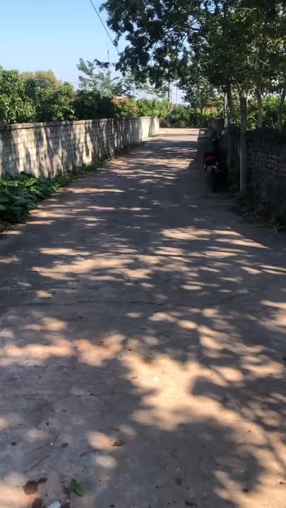 Đất vườn Trù Hựu Lục Ngạn 507m² - Nhanh tay sở hữu!