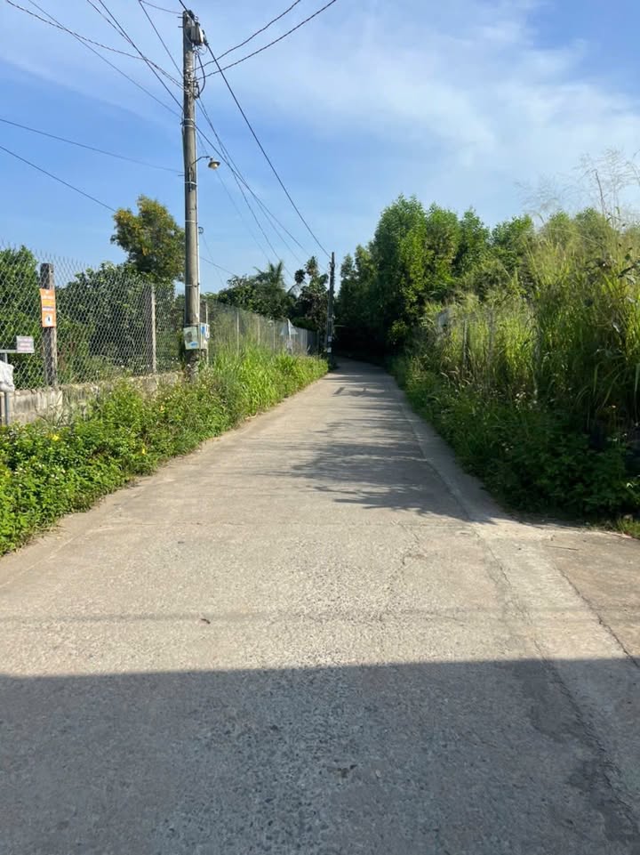 Đất chính chủ Thạnh Phú Vĩnh Cửu 100m² giá 990 triệu - Sổ riêng, ô tô vào tận nơi!