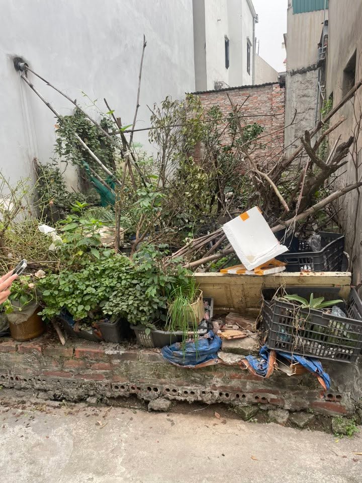 Lô đất đẹp 41,5m² tại Ngõ 7 Quảng Minh, giá chỉ 4,2 tỷ - Đầu tư sinh lời ngay!