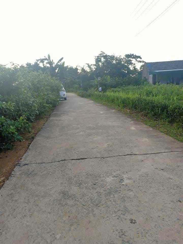 Đất thổ cư Ngọc Lương, Yên Thủy, Hòa Bình 112m² - Sổ hồng chính chủ, công chứng nhanh!