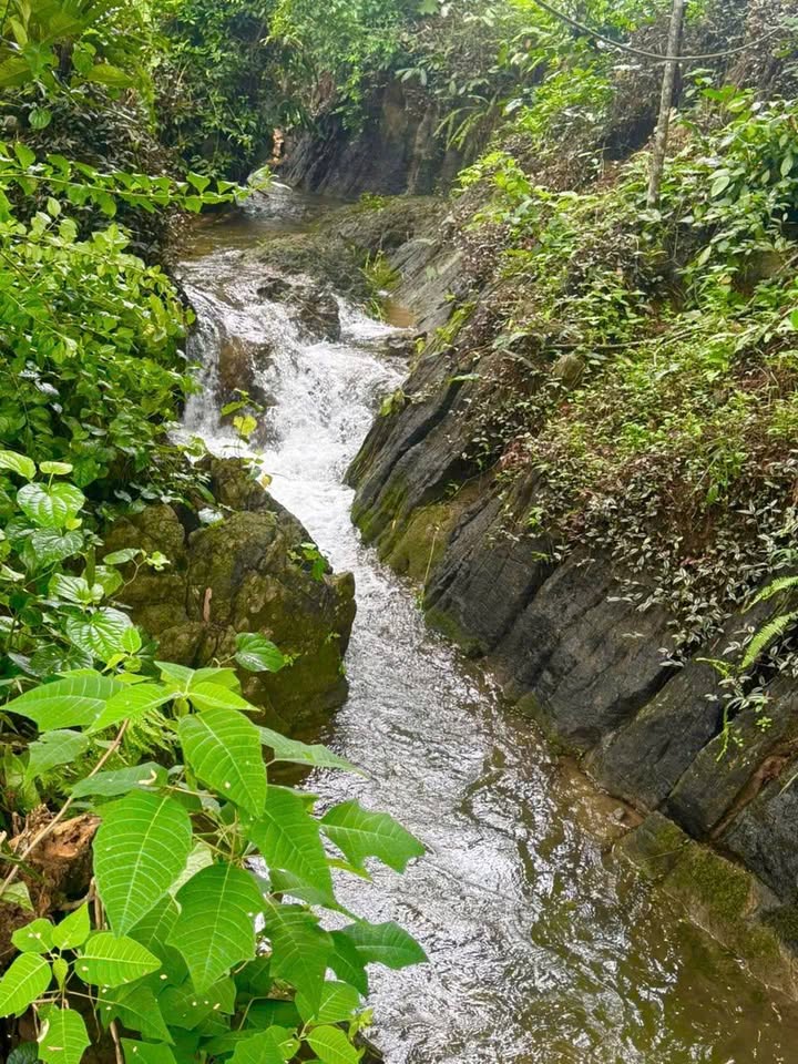 Lô đất 759,4m² Tân Lạc, Hòa Bình giá 300 triệu - Đầu tư sinh lời cao!