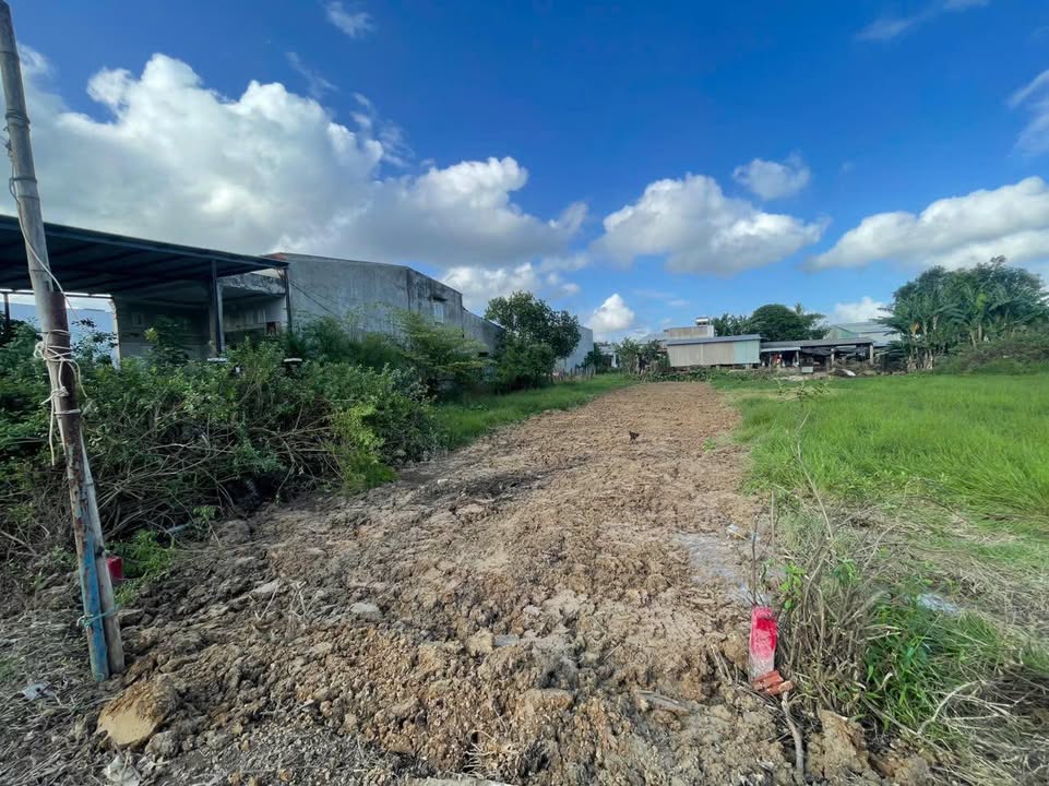 Đất nhà vườn Đại Hiệp 211m² giá chỉ 850 triệu - Đường ô tô vào tận nơi!