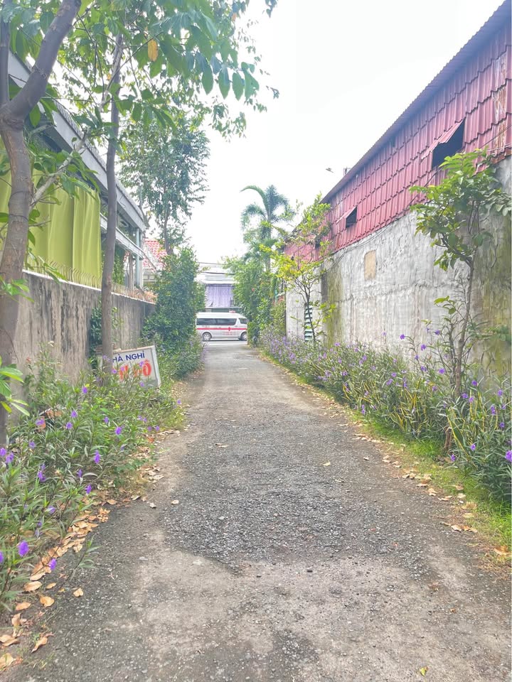 Nhà cho thuê hẻm ô tô QL91, An Châu, Châu Thành 150m² - Giá chỉ 2 triệu/tháng!