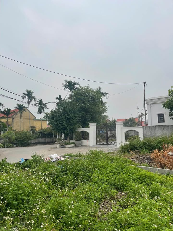 Đất nền góc 63,5m² phường Nam Đồ Sơn, Hải Phòng - Sổ đỏ chính chủ, giá chỉ 800 triệu!